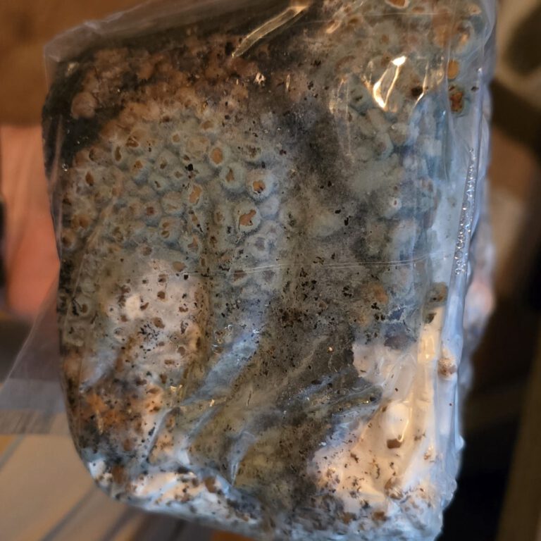 a picture of contamination